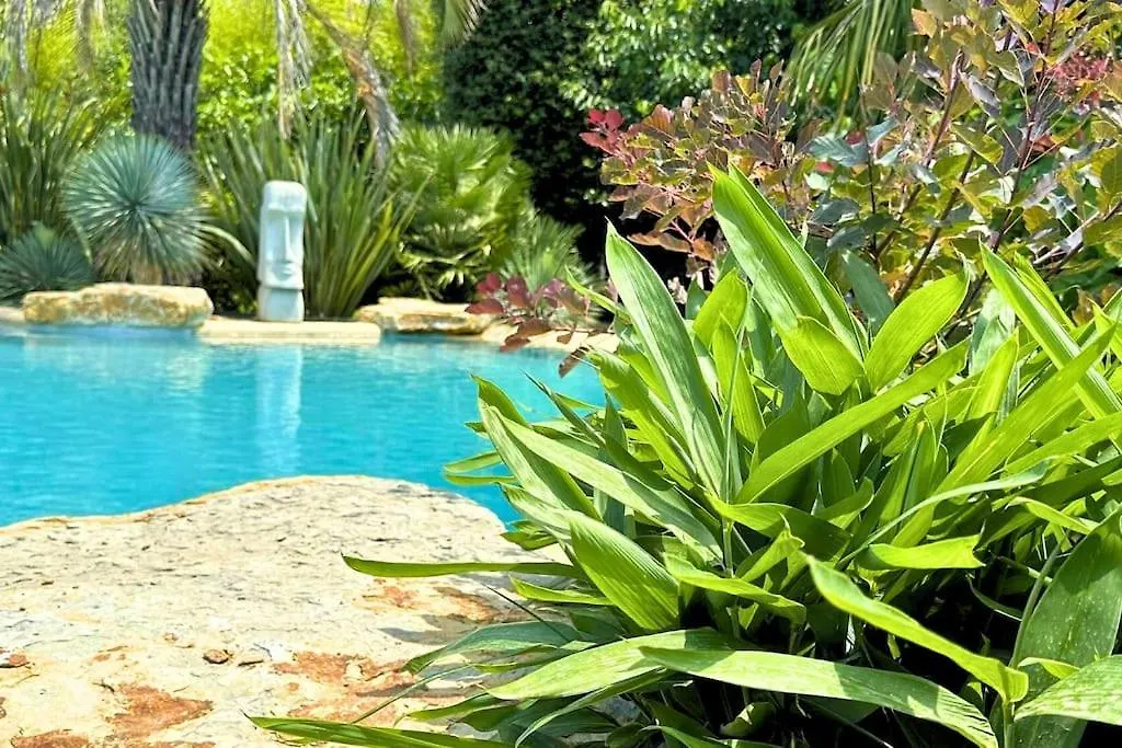 Studio Avec Piscine Et Jacuzzi - Tiki Palm Beach Resort Gardanne